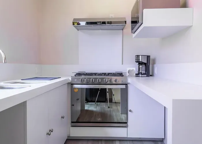 Dazzling House In The Heart Of Coyoacan/12 Guests