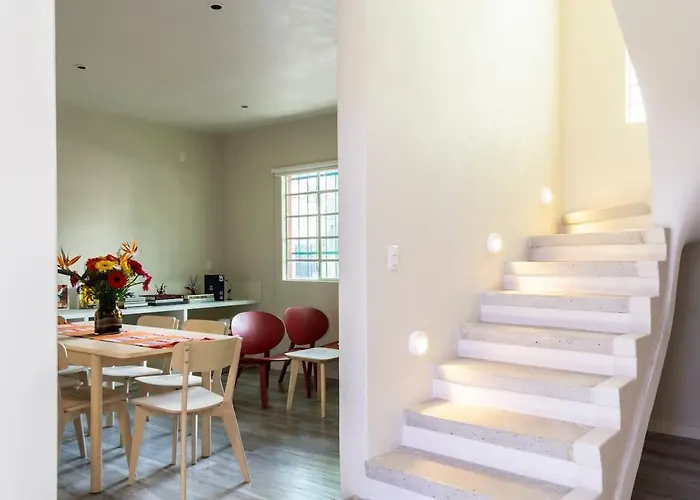 Dazzling House In The Heart Of Coyoacan/12 Guests