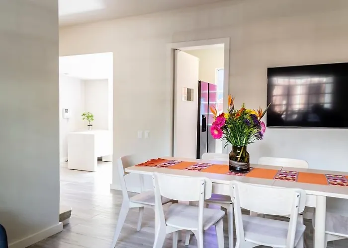 Dazzling House In The Heart Of Coyoacan/12 Guests