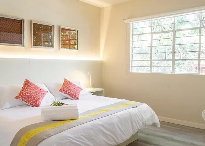 Dazzling House In The Heart Of Coyoacan/12 Guests Сasa de vacaciones