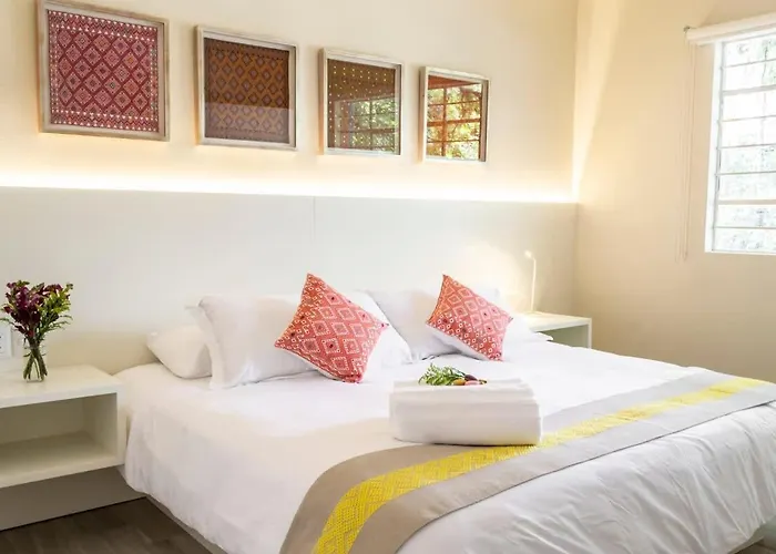 Dazzling House In The Heart Of Coyoacan/12 Guests México DF