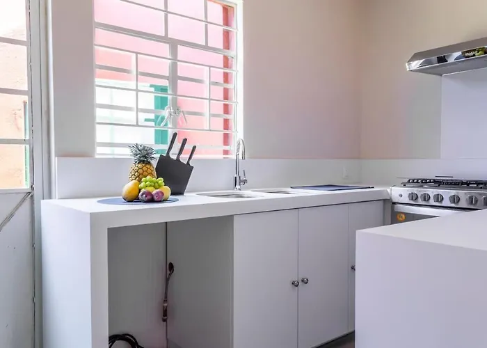 Dazzling House In The Heart Of Coyoacan/12 Guests