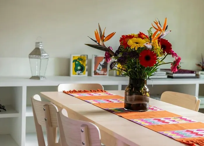 Dazzling House In The Heart Of Coyoacan/12 Guests México DF