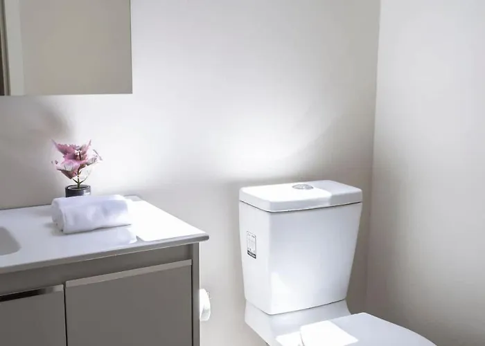 Dazzling House In The Heart Of Coyoacan/12 Guests
